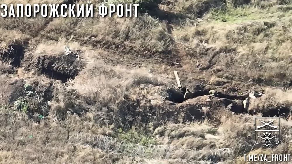 ����� ������ ������ ������ "����" �� ����������� ����� ���� ���������� � ������� FPV-����� "����-7" � ������ ����������� �� �������� �����������