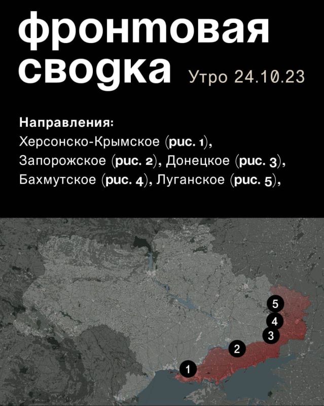 WarGonzo: ��������� ������ �� ���� 24.10.2023