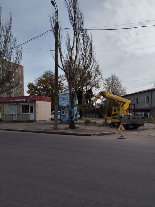 Юрий Будрин: Коммунальным предприятием МУП АГД "Кировский зеленстрой" проведены работы по удалению сухостойных деревьев на ул. Петровского