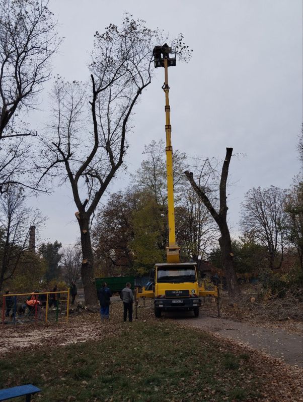Юрий Будрин: Коммунальным предприятием МУП АГД "Кировский зеленстрой" проведены работы по удалению сухостойных деревьев на ул. газеты Комсомолец Донбасса 1,3