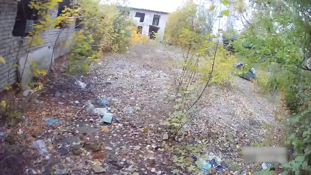 ������ �������: ���� ������ �� �������� �������� ���������� ��������� ������ ��� ��� ������� ������� ������ � �����������, ����������� � ���������� �������