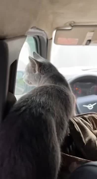 ��� �������� - ��������� �������� ����� �������!