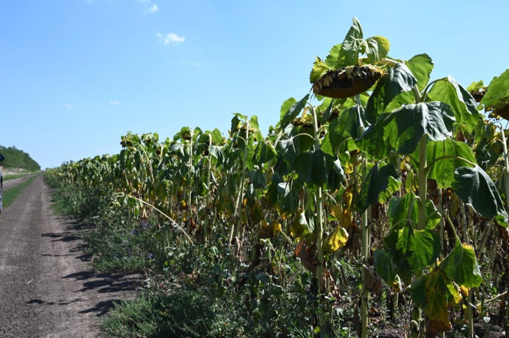 � ����� �������� ������������ ������ �������������