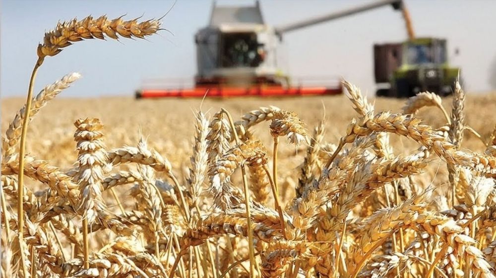 ������� ����������� �������� � ��� ��������� ������������ ���������� �� 28%