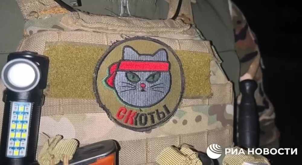 ВСУ, не добиваясь успехов на фронте, стараются бить по мирному населению и инфраструктуре, заявил РИА Новости советник главы ДНР Ян Гагин, комментируя обстрелы Донецка со стороны ВСУ