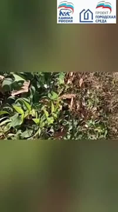 ���� ������: � ������������ ������ � ������ ���������� ���������� ������� ���������� �����, ���������� ������ �������� � ���������� ���������� ������ ������� �� ����������� ����������