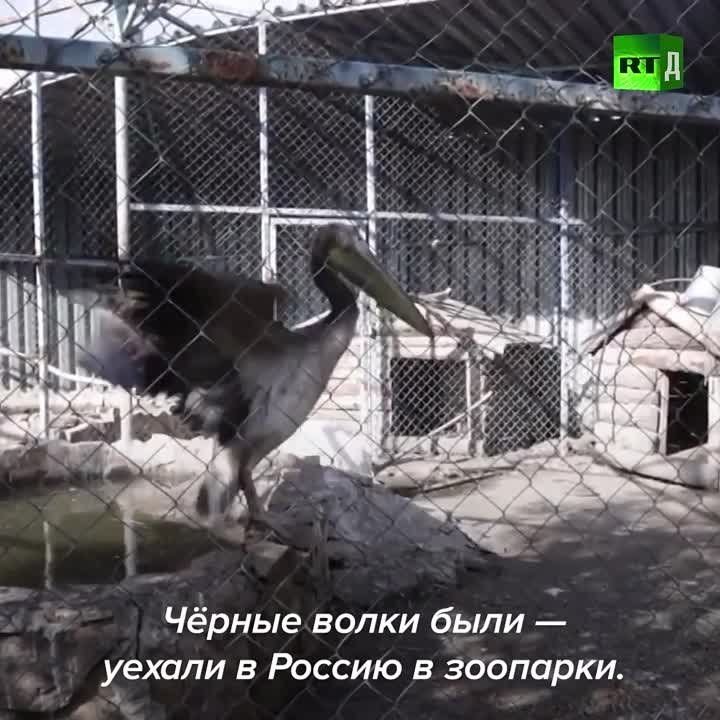 ��� ����� ����� �� ����������������