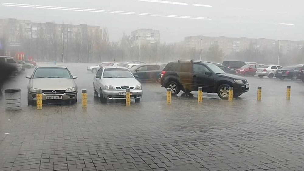 �������