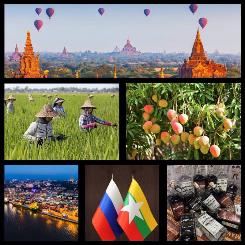 ������ �������: �������� ������ ��������� ��������� �������-������������� ���������, ��������� ������������ ����� ����� ���������� ������� ����� �������� �� �������������� ��������� ���������� ��������� � ����������� ���� ������