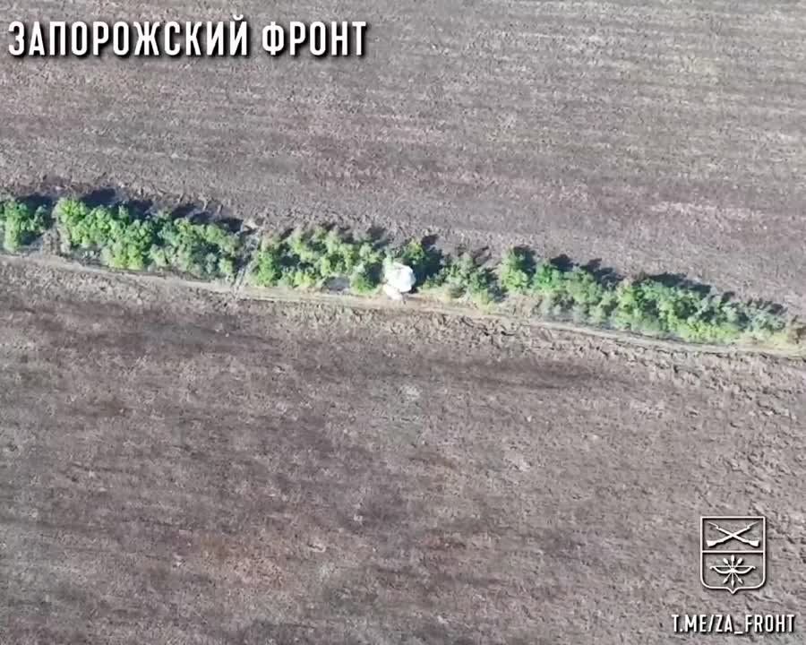 �������� "����" � ������� FPV-������ ���������� ������� ��� �� ����������� �����������