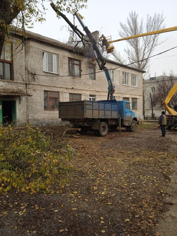 Юрий Будрин: Благоустройство города.. Жилищной организацией ООО "МАСТЕРКЛАСС", с привлечением специализированной техники, выполнены работы по сносу аварийного дерева вблизи жилого дома №3 по ул.Россошанская #Кировский #Благоустройствогорода