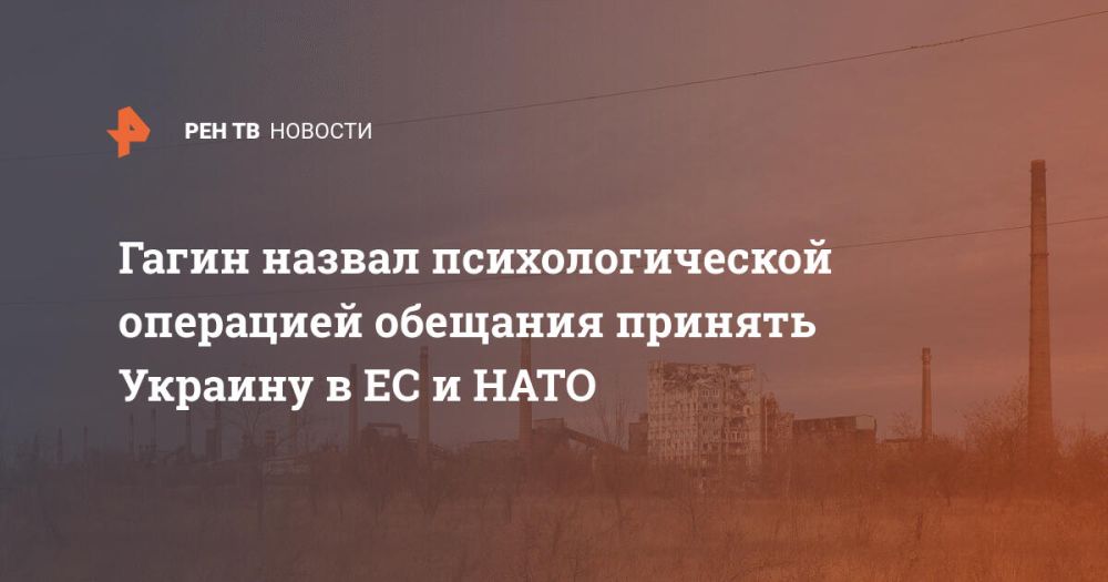 Гагин назвал психологической операцией обещания принять Украину в ЕС и НАТО