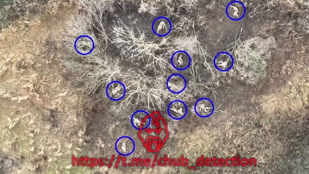 Борис Рожин: От Авдеевки к Марьинке. Вокруг Донецка нынче жаркий ноябрь. Мы бы даже сказали, что раскалённый для тех чубов...