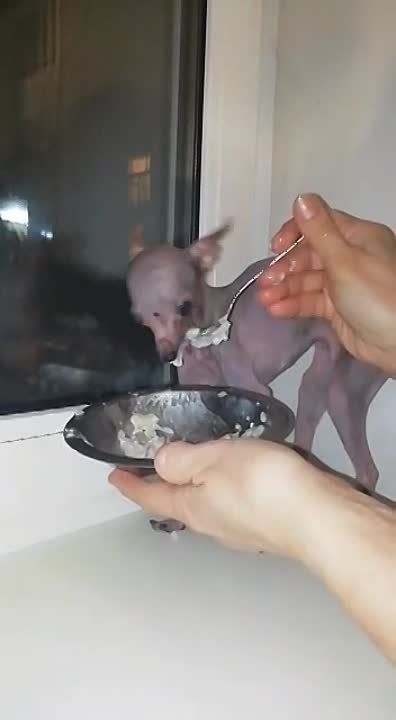 ������� ���������� �������� � �����