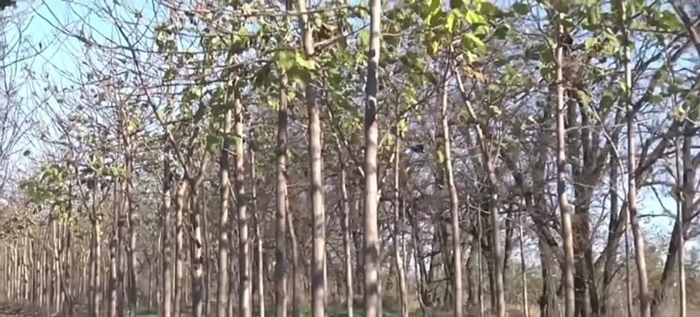 � ������� ��������� ���� �� ���������� ���������-�������� ����� ������