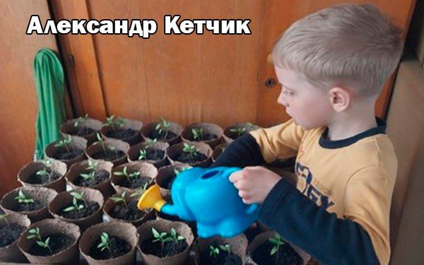 ����� ����������: ����������� ��� ����� ������������ � ��������� �������������� �������� ������� �� �������������� ������ �����������