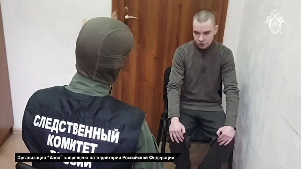 ������ �������: ��� � ������� ���������� � ������������ ����� ������� ����������� "����" (�������� ����������������, ��������� � ��)