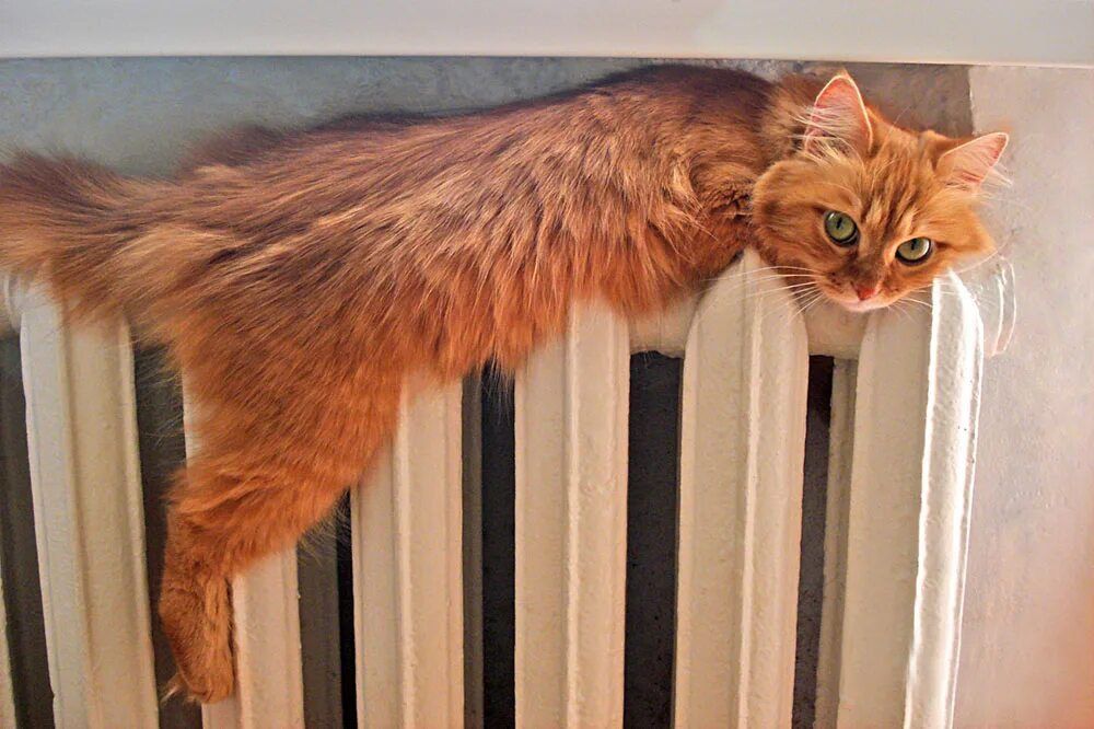 ������ �������: ������, � ������������ ������� ���� ����� ��������� �� ������ ���������