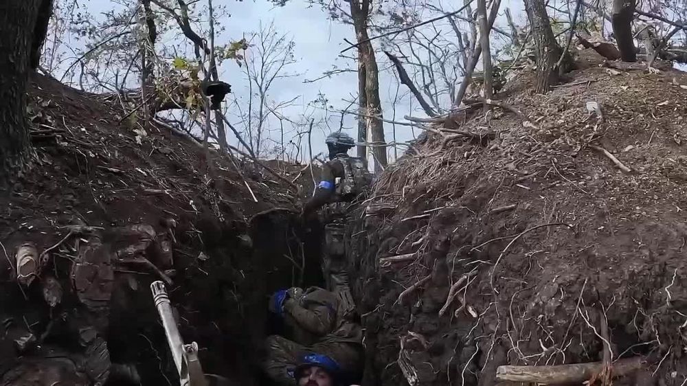 ��������� ���������: ��������� ����� � ����������� �����������