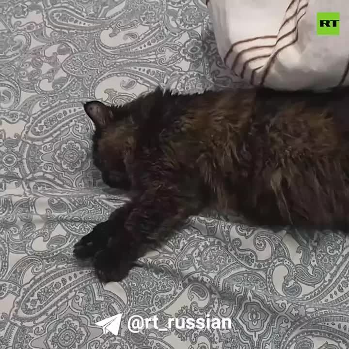 ���� � ����� �� �������� ������� ����� ���� ��������� �������� ���� �� �������