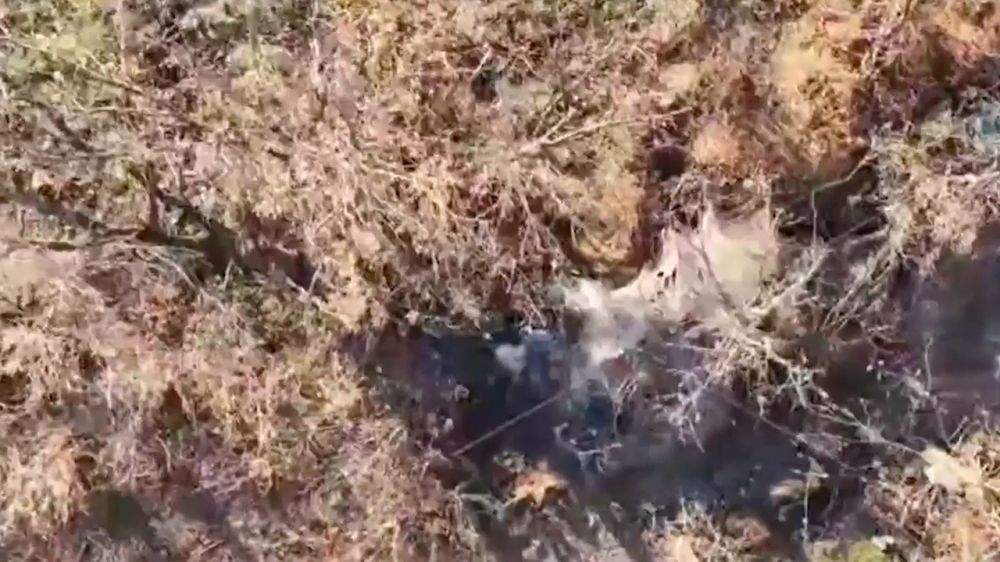 На Южно-Донецком направлении операторы дронов «вскрыли» окопы с боевиками