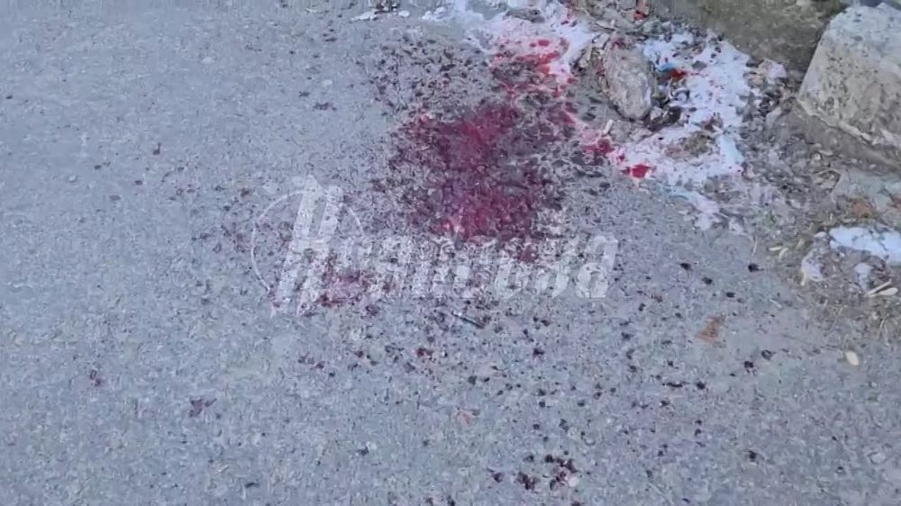 ����� �����: ���������� ����� ���������� ����� � �������