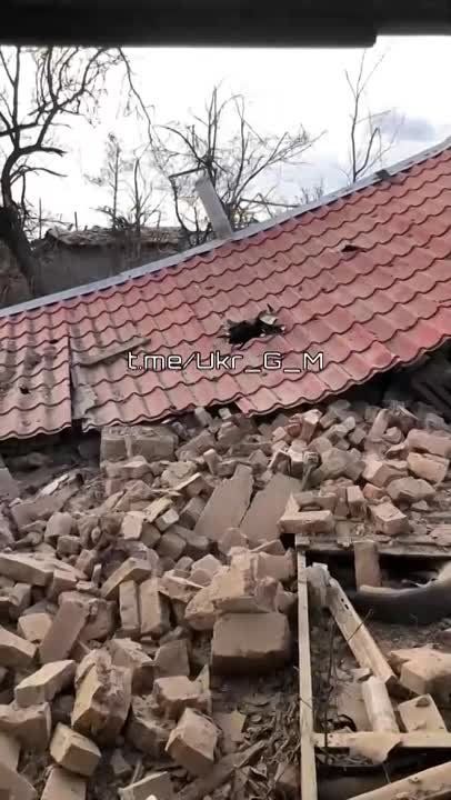 � ����������� ���������������� ������ ����� ������ � �������