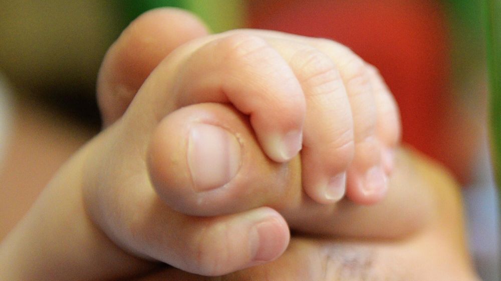 В ДНР появится региональный маткапитал