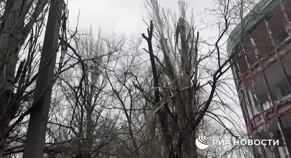 ������ ��������: �������� ������� �������! ����� ���� �������� ����� � ����� �������