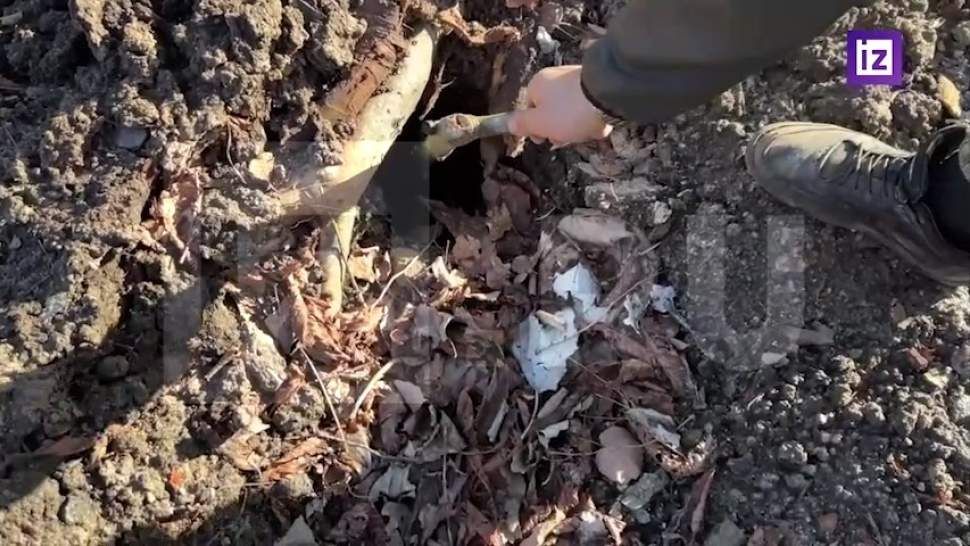 В ДНР заявили об укреплении группировки ВСУ под Горловкой иностранцами