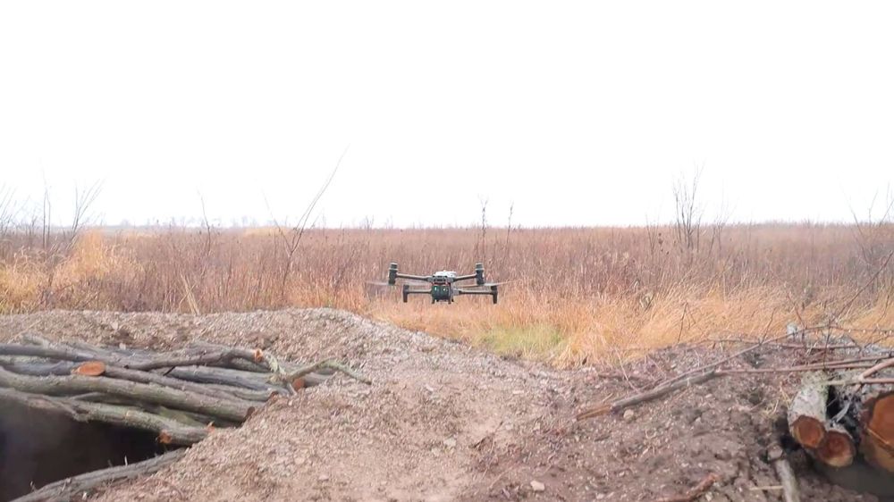 ������������ ����� ������ ���������� ���� �� �������� �����������