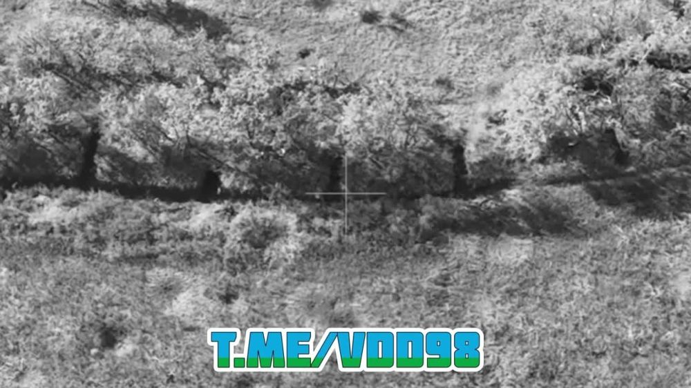 ����� �����: ������������� ����������� ����������� ��������� (����)� ����������� ������������ ���������� ��� ��������� ���������� ����� ���� � ������������������ ������� ��� �������� �������������� �� �������� ����������� ��� � ������ �� ����������