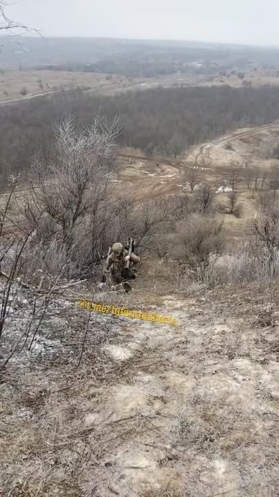 ���������� �������������� � ���� FIM-92 Stinger ���-�� � �������� �������