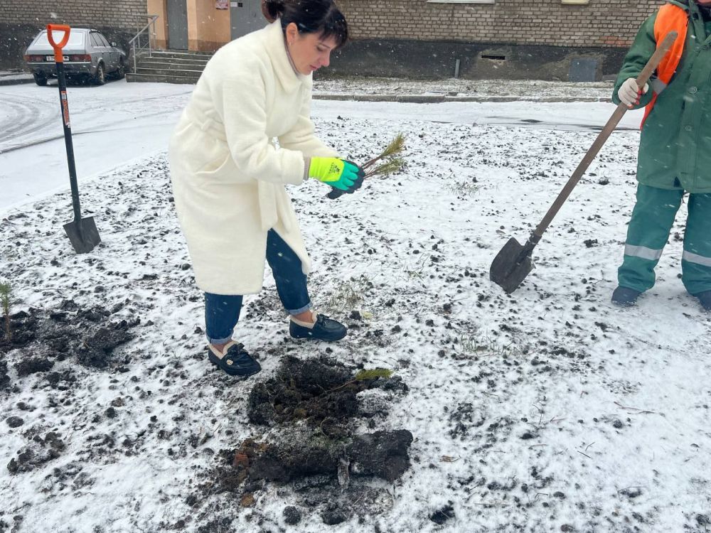 �������, 7 �������, � ������������ ����� "������ �������", ����� ������������� ���������� ������ �. �������...