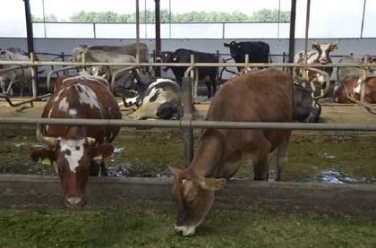 ДНР намерена войти в топ-10 по уровню обеспечения продовольственной безопасности