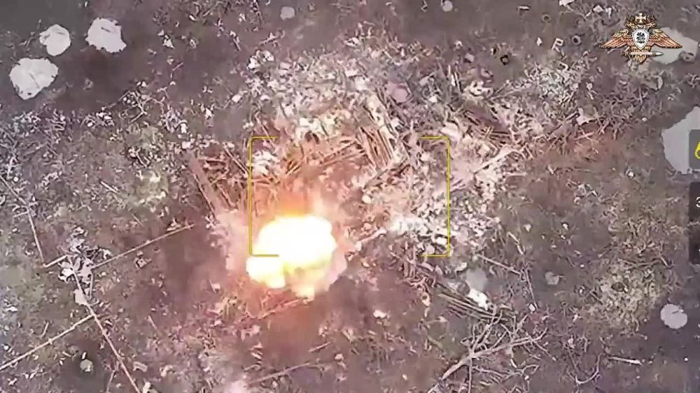 ������� ���� 5-� ������� �������� ����� � ��������