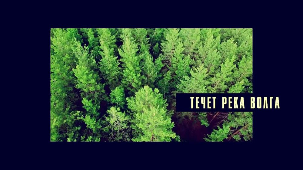 Виктория Мельникова: На всех частотах под Донецком и на других направлениях фронта