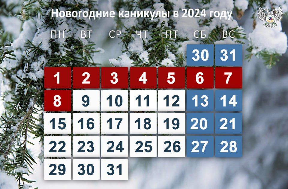 ���������� �������� � 2024 ����