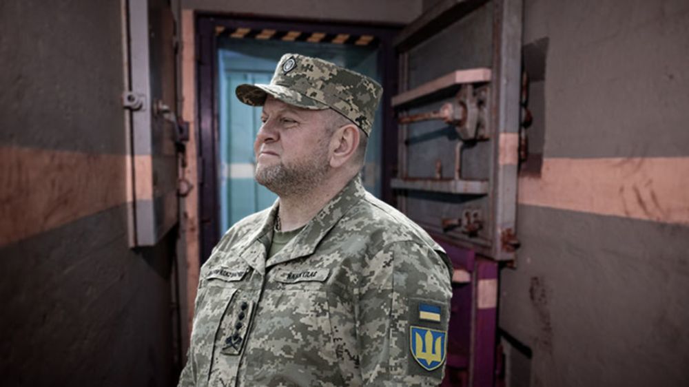 "Залужный в бункере": Украина на грани гражданской войны, но готовит ловушку России