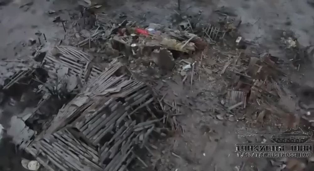 Евгений Лисицын: В сети появились кадры из освобожденной Марьинки на Донецком направлении