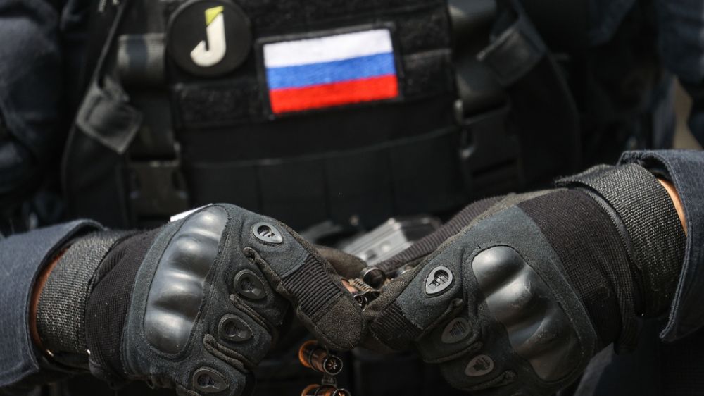 Readovka: �������� ������������ �����������