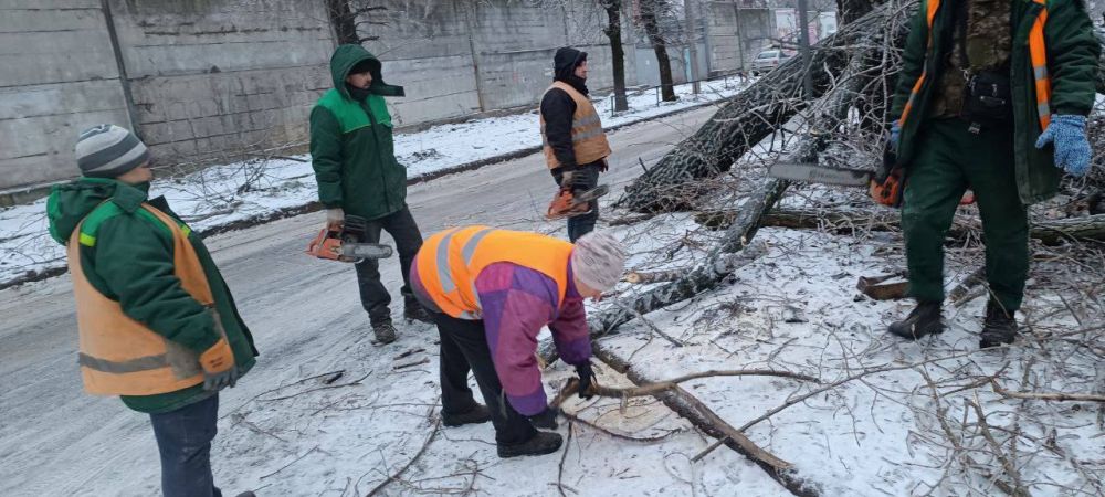 Василий Ткачук: Сегодня силами Муниципального унитарного предприятия администрации города Донецка "ЗЕЛЕНСТРОЙ...