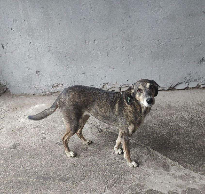 ������ ��������: ���� ����� ��������� �������, �� ������� ����� �����, ��� ��� - �������