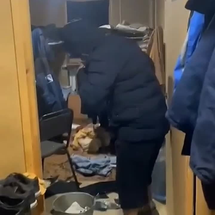 ������������ � ������� ����� � ����-���� � ��������� � ��� ��������� ��������� ���������������� ���������� �� ������� �������, � ������� �� "���������� ���� ������", ��� ��� ����������� ���������