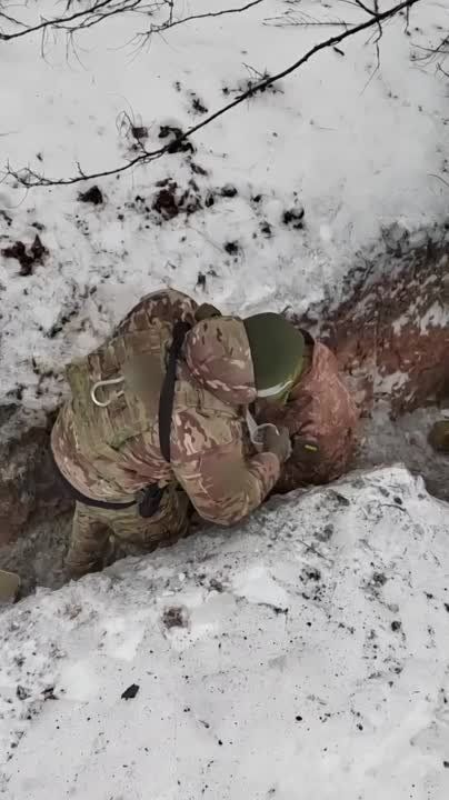 ������ �������: �������� �����������, ������ � �� ��������