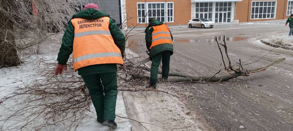 Василий Ткачук: Сегодня силами Муниципального унитарного предприятия администрации города Донецка "ЗЕЛЕНСТРОЙ...