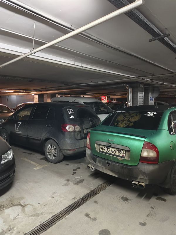 ��������� ����������: �����������. ��������� �������� ������ ����.. ��� ����� ����� ������������� �����. ������� �� �������