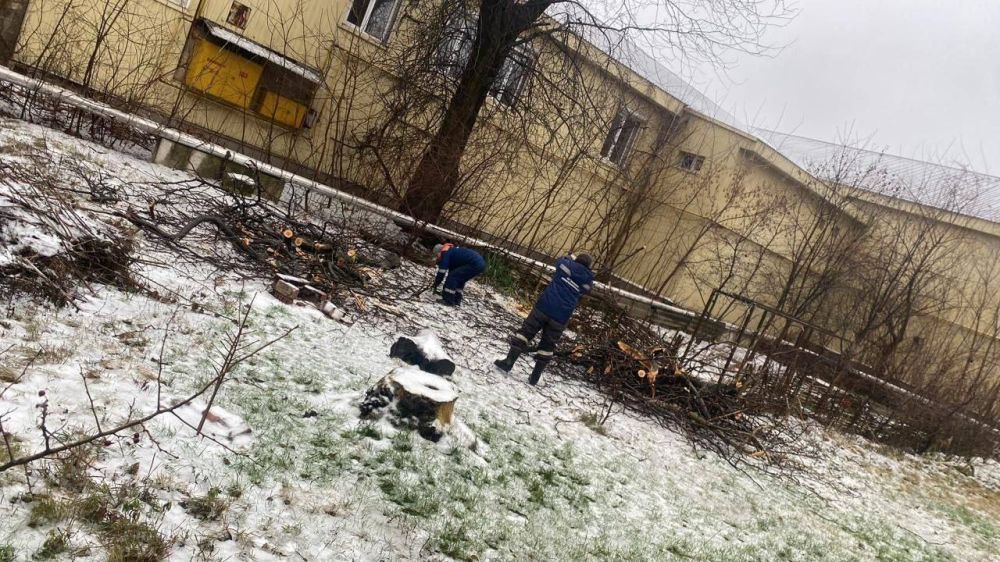 Василий Ткачук: Сегодня силами МУП АГД «ЗЕЛЕНСТРОЙ Калининского района» и МУП АГД «Управляющая Компания Калининского района»продолжаются работы по: