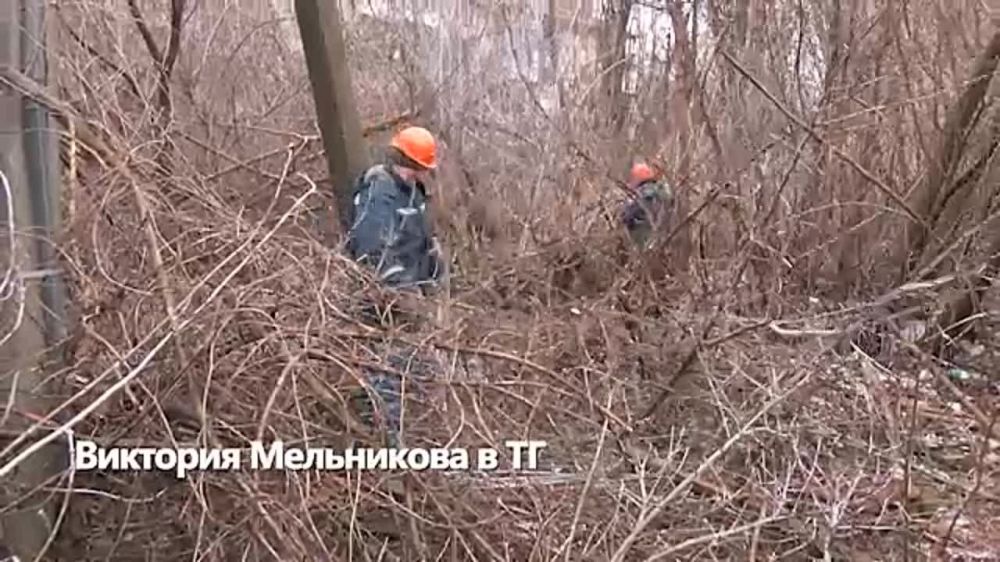 Виктория Мельникова: Правда, что энергетики в ДНР работают в круглосуточном режиме?