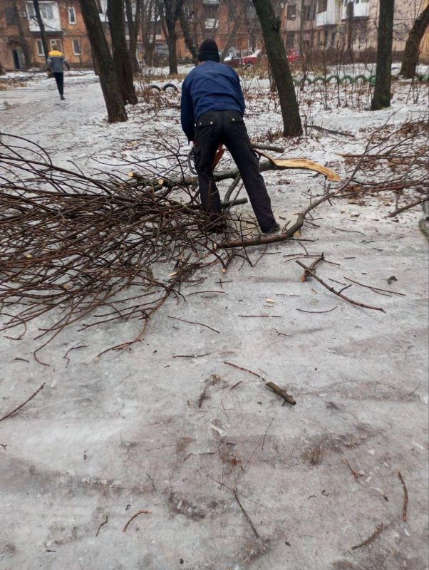 Василий Ткачук: Сегодня силами МУП АГД «Управляющая компания Калининского района» выполнены работы по распилу упавших деревьев по адресам: